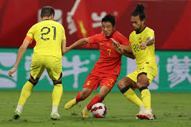 作为国内少